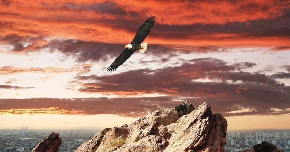 Majestic Eagle Symbol - All Symbols