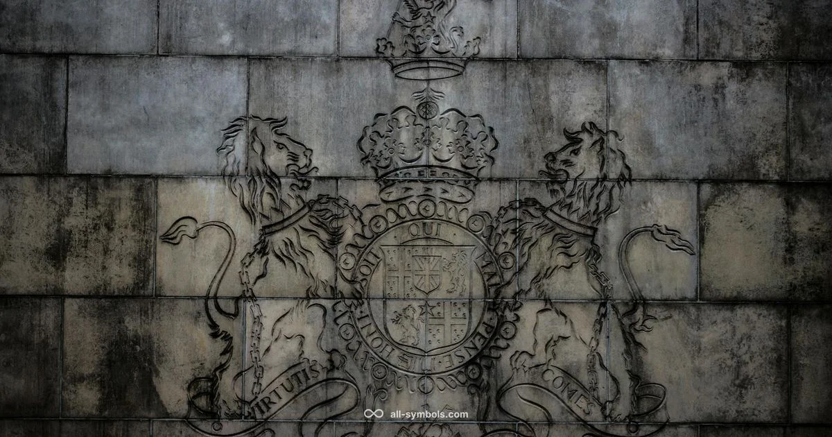 Assassin Symbol Insight - All Symbols