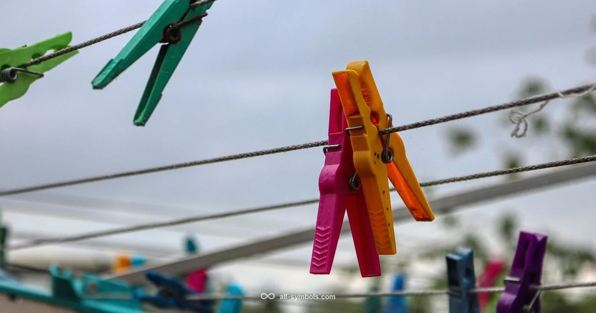 Care Label Guide - All Symbols