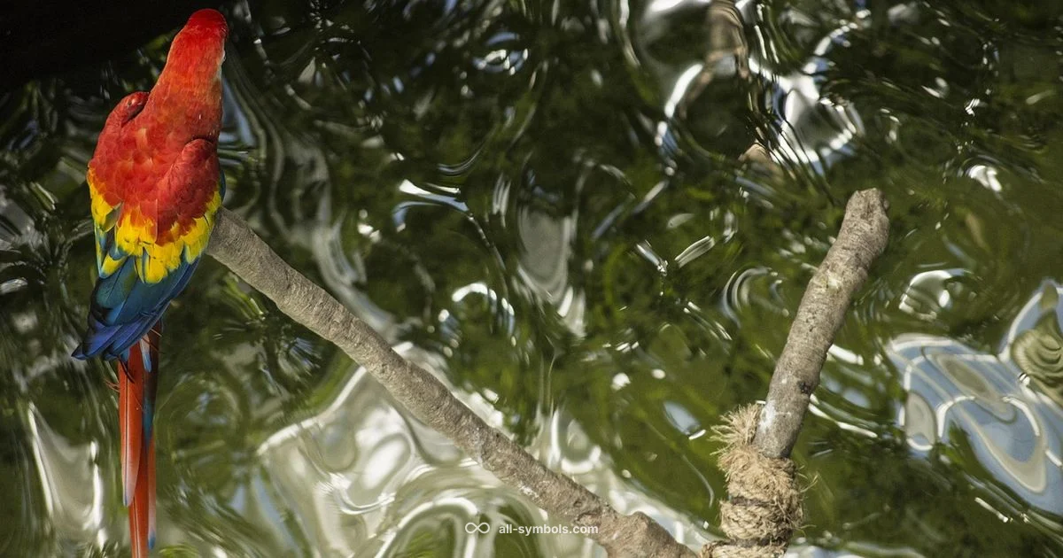 Quote Symbol Guide - All Symbols