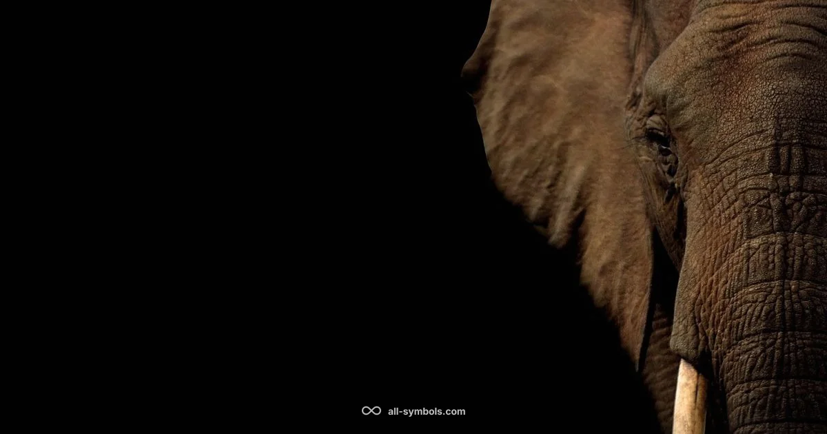 Elephant Ink Meaning - All Symbols