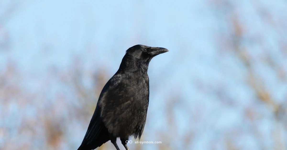 Crow Symbolism - All Symbols