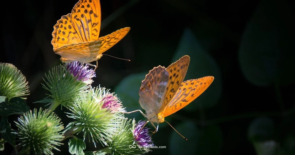 Butterfly Meaning - All Symbols