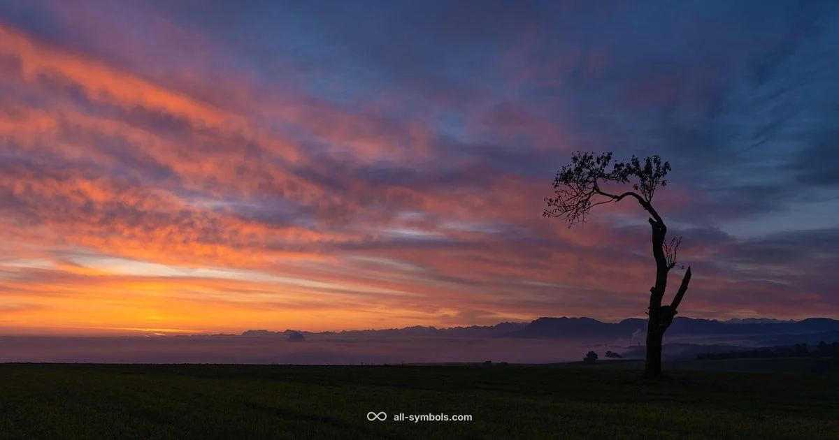 Fresh Start Icon - All Symbols