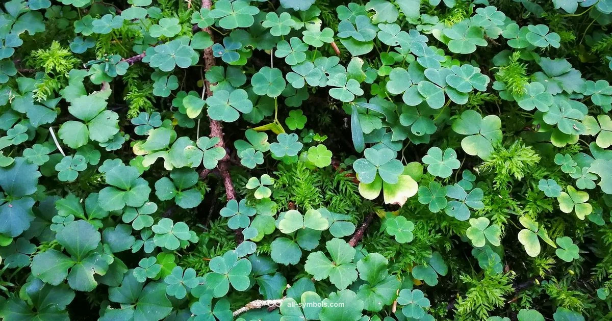 Lucky Symbols Lucky Symbols - All Symbols