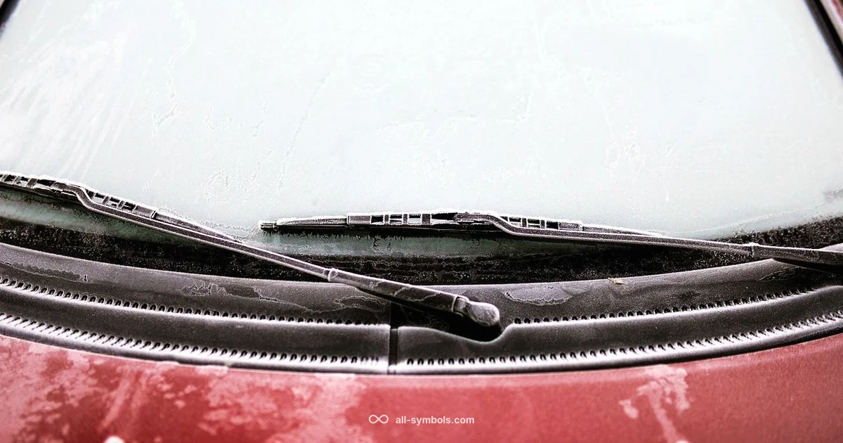 Washer Symbol Guide - All Symbols