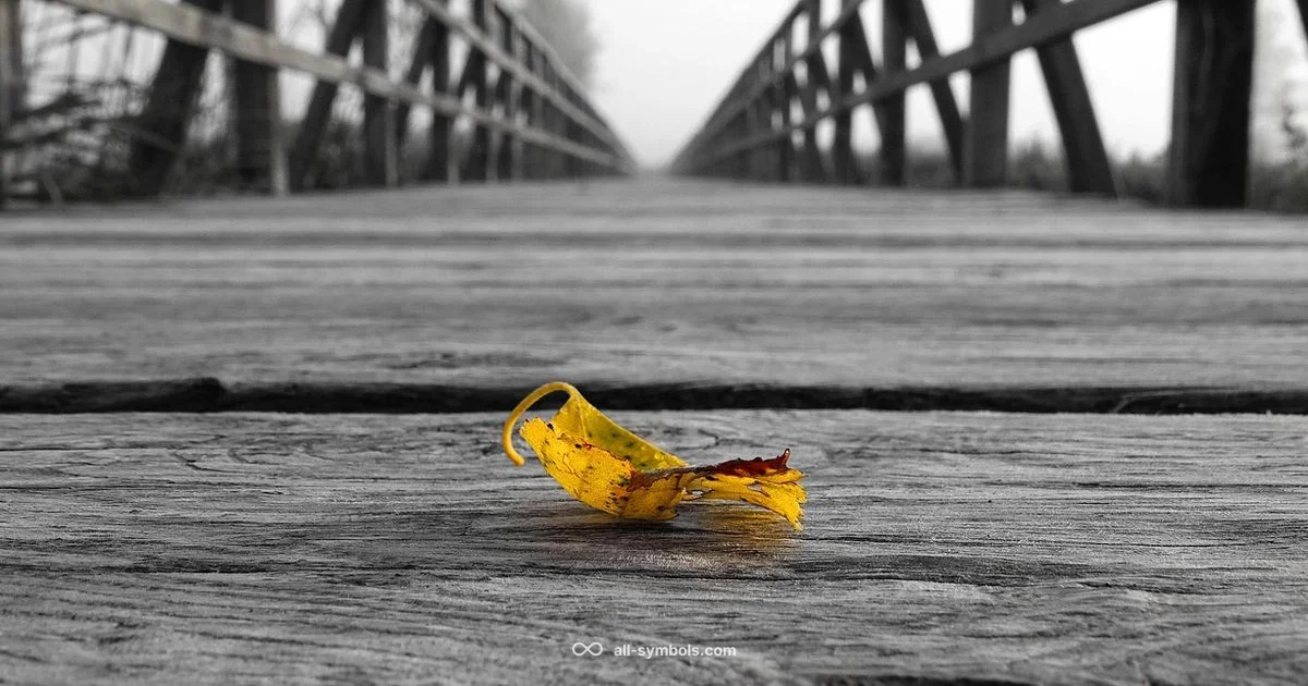 Infinity Symbol Overview - All Symbols