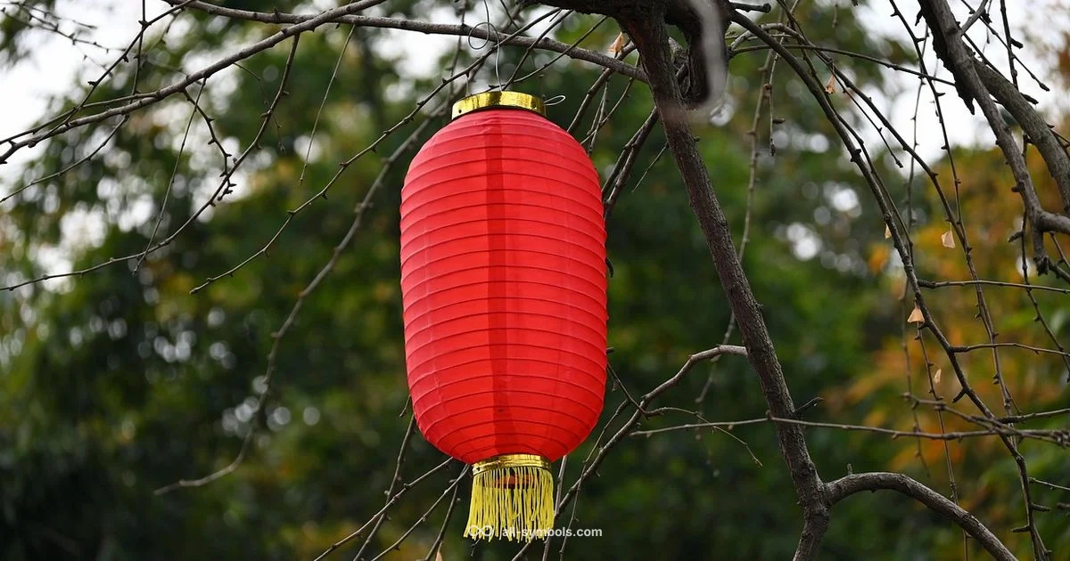 Year of the Dog - All Symbols