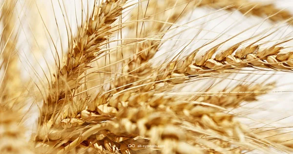 Virgo Symbol Glyph - All Symbols