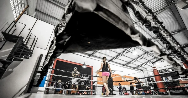 DOMS Growth Guide - All Symbols