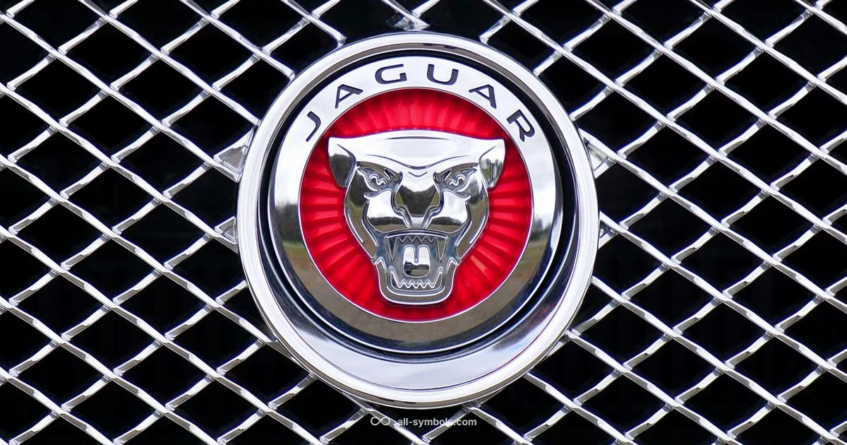 X Symbol Meaning - All Symbols