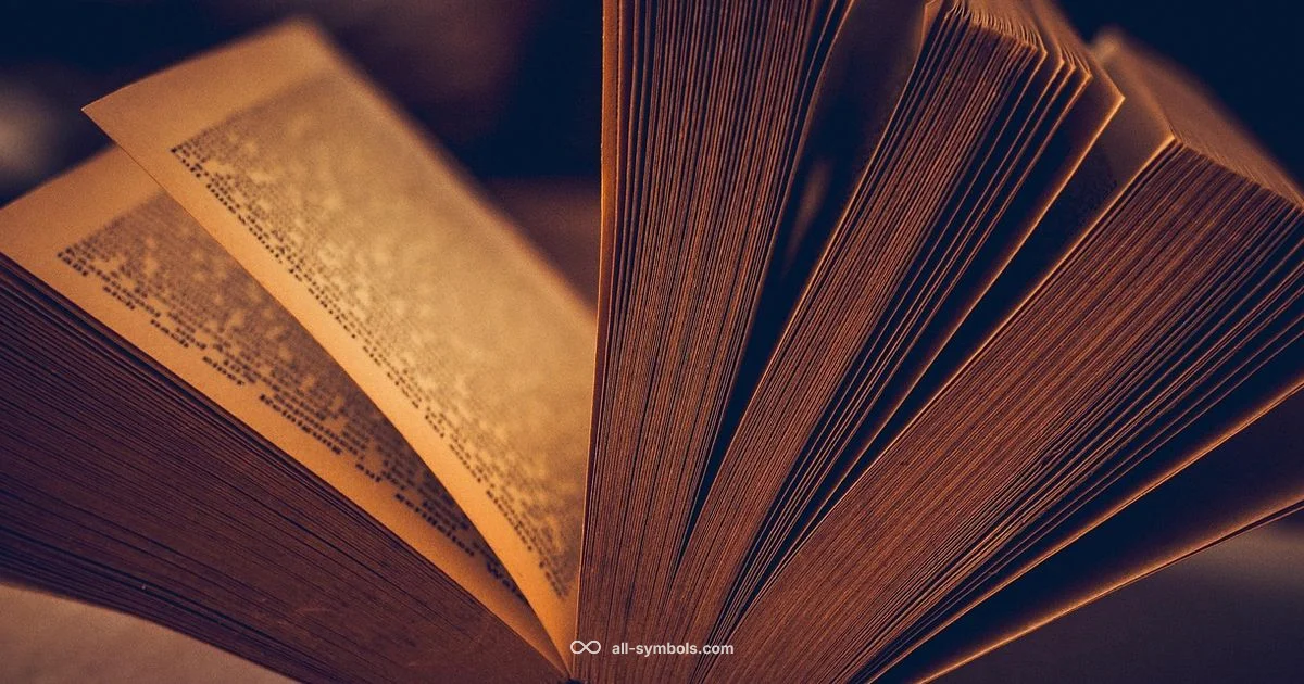 Symbol Meanings in Use - All Symbols