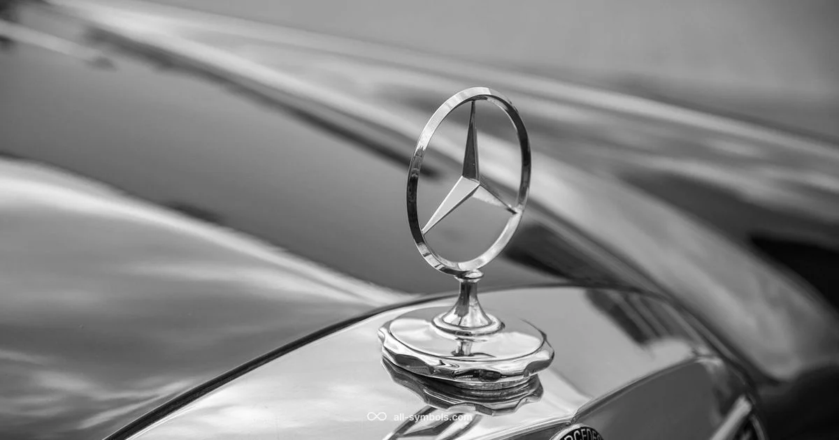 R in Circle Explained - All Symbols