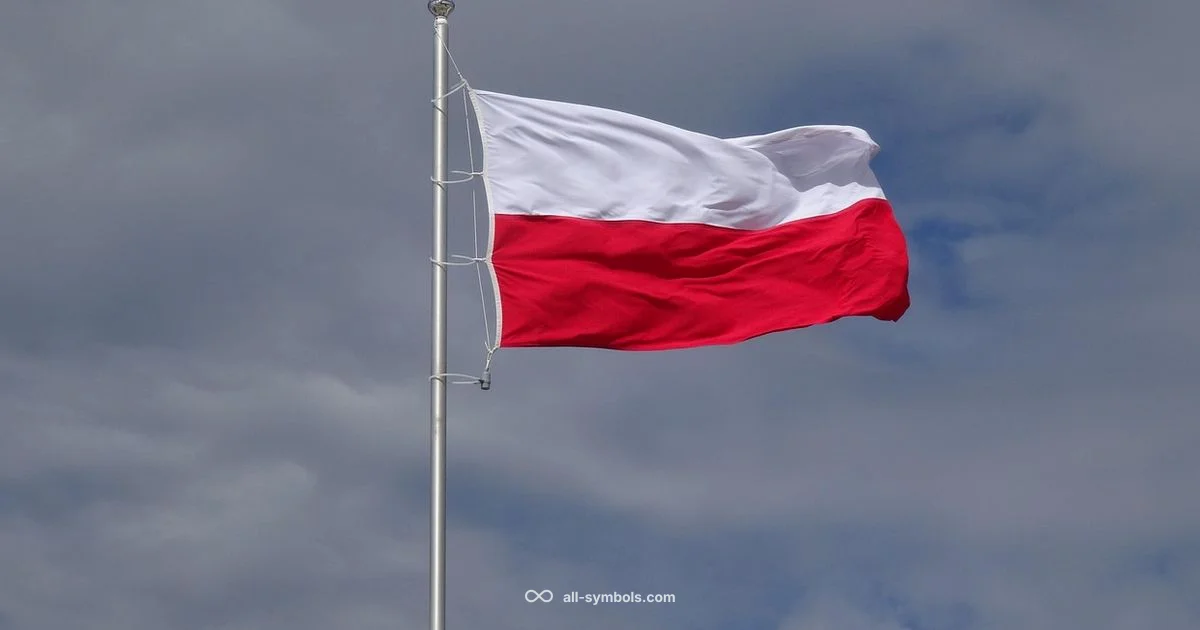 Symbol PNG Guide - All Symbols