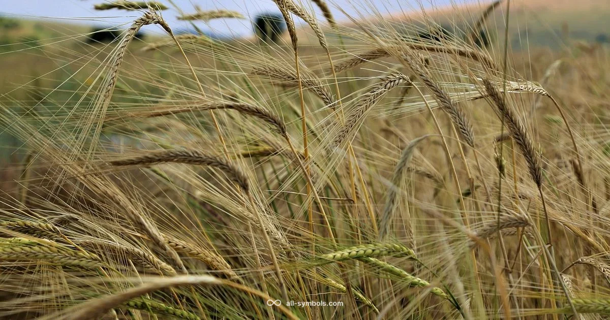 Virgo Maiden Symbol - All Symbols