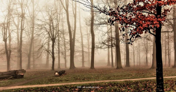 January Zodiac Symbols - All Symbols