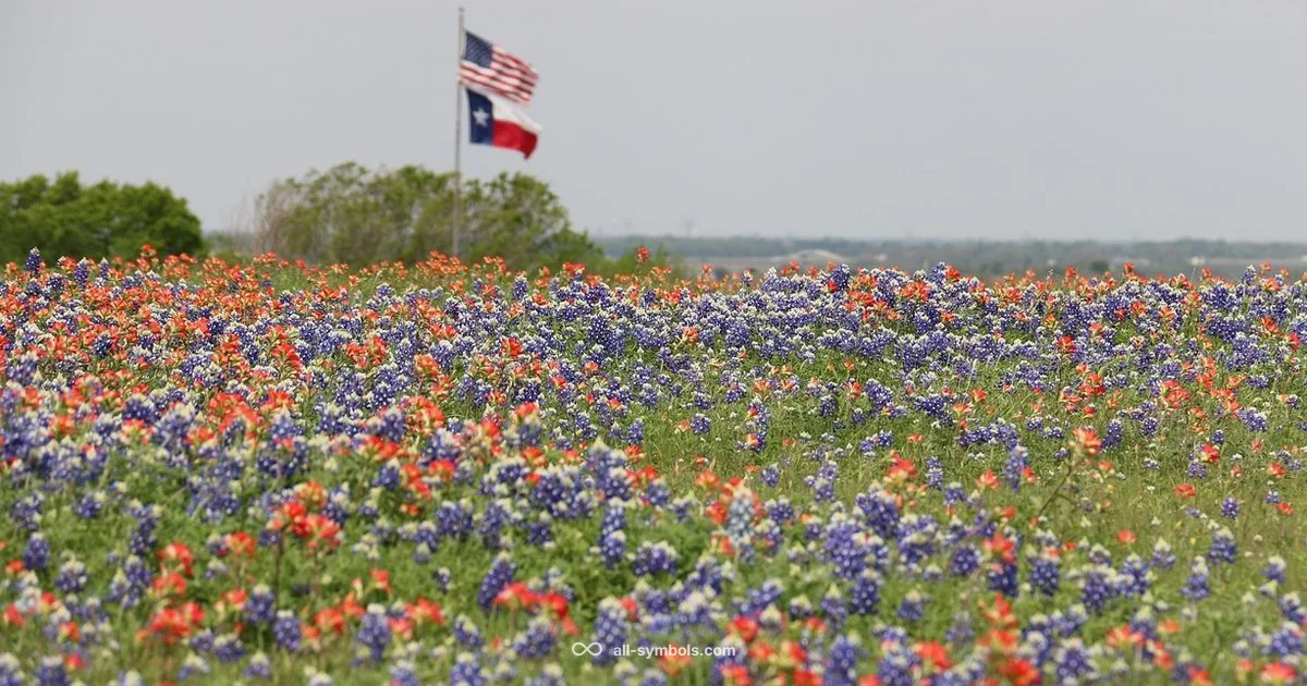 Texas Symbols - All Symbols