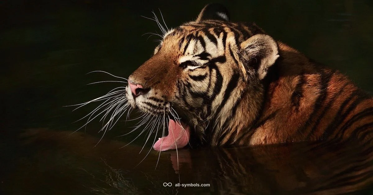 Tiger Symbol Deep Dive - All Symbols