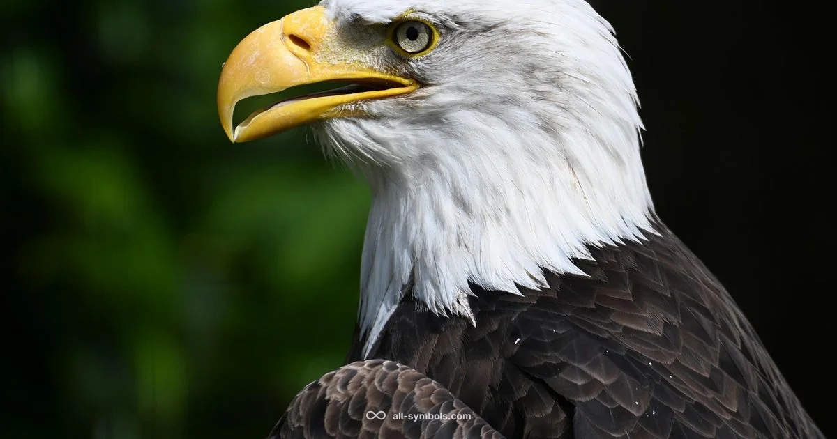 Bold Branding - All Symbols