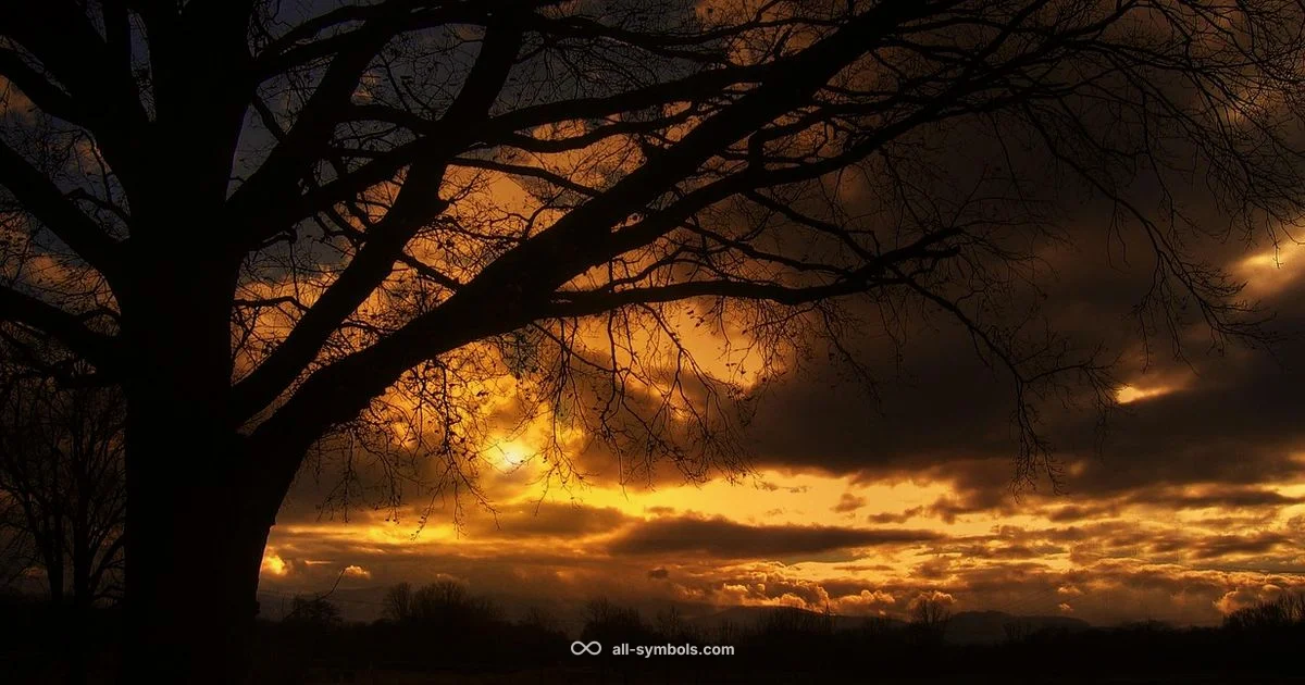 Willow Symbol Guide - All Symbols