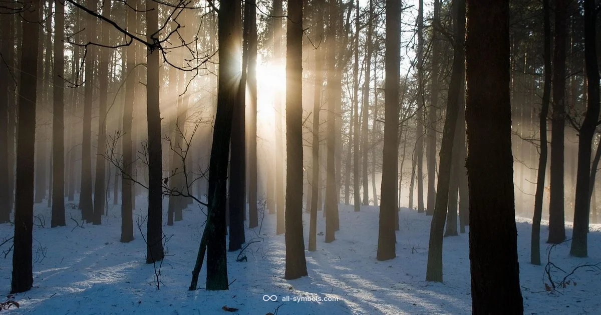 Tree as Life Symbol - All Symbols