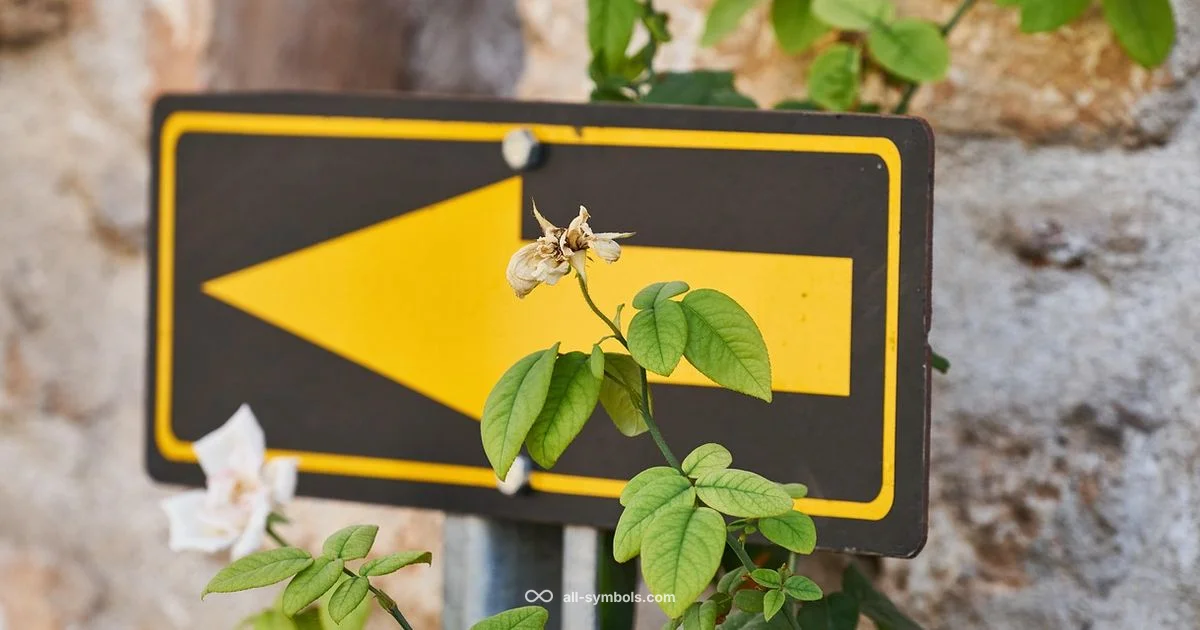 Do & Don't Symbols Do & Don't Symbols - All Symbols