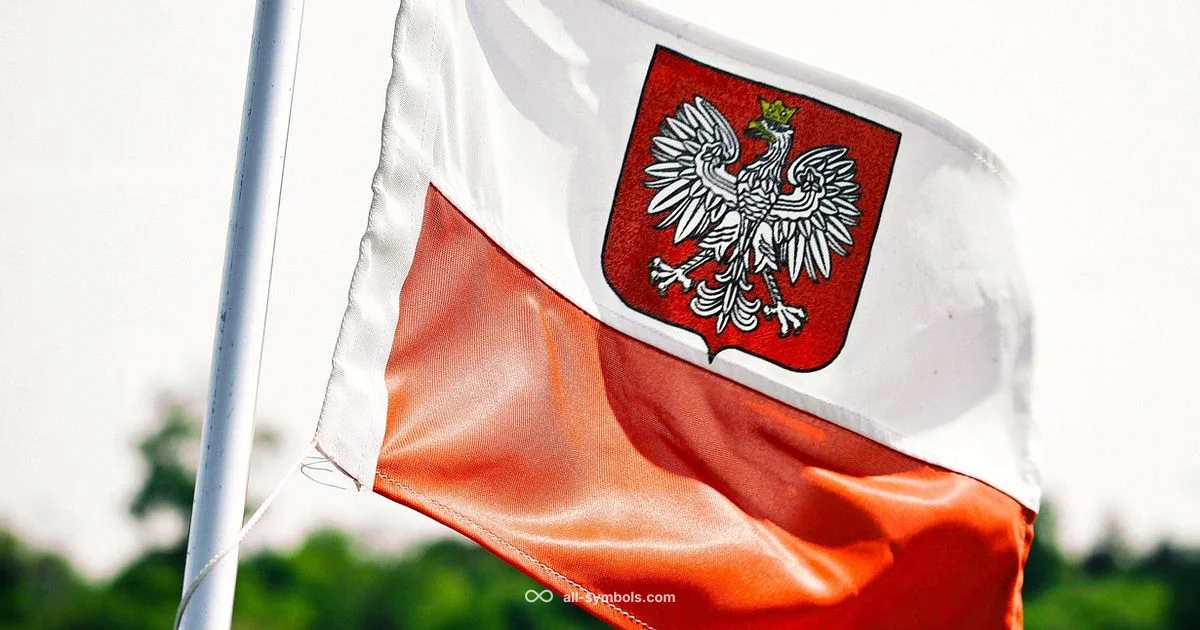 National Symbols in Focus - All Symbols