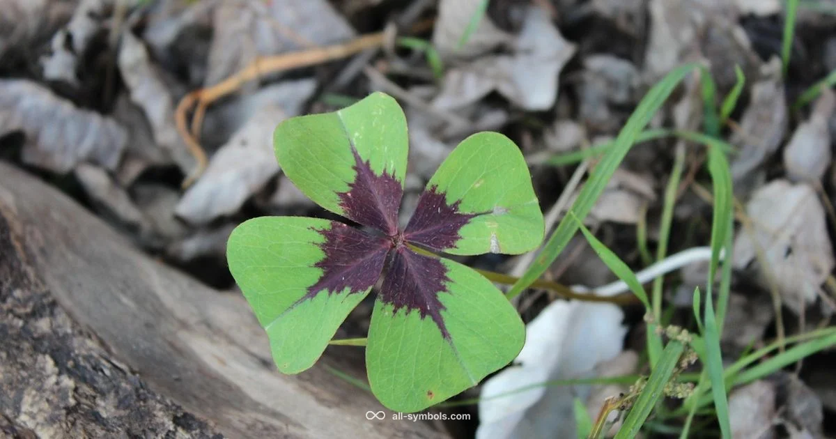 Luck Symbols - All Symbols