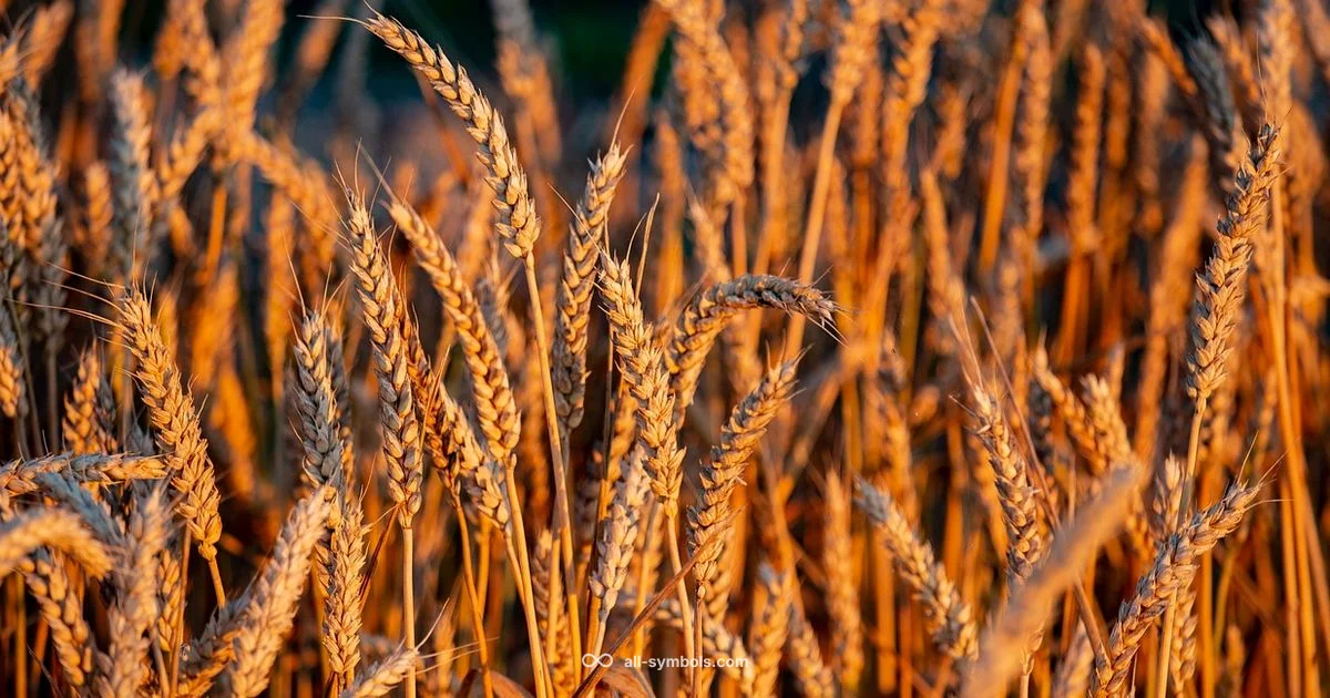 Virgo Symbol - All Symbols