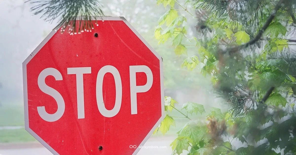 Signs and Symbols Explained - All Symbols