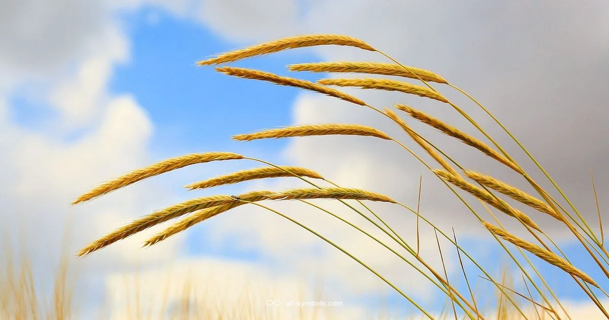 Virgo Matches Virgo Matches - All Symbols