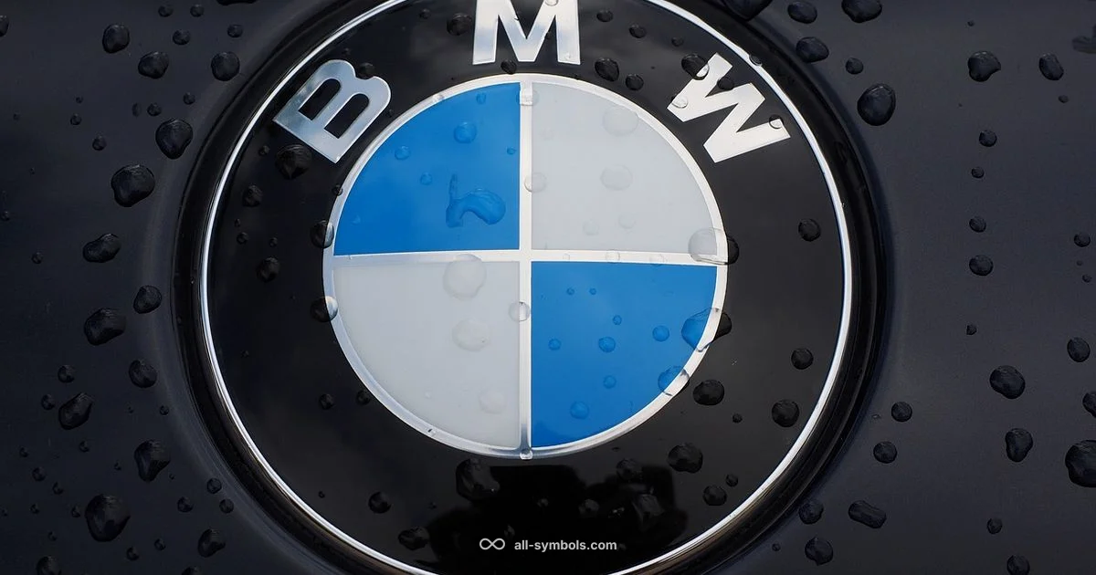 TM Symbol Guide - All Symbols