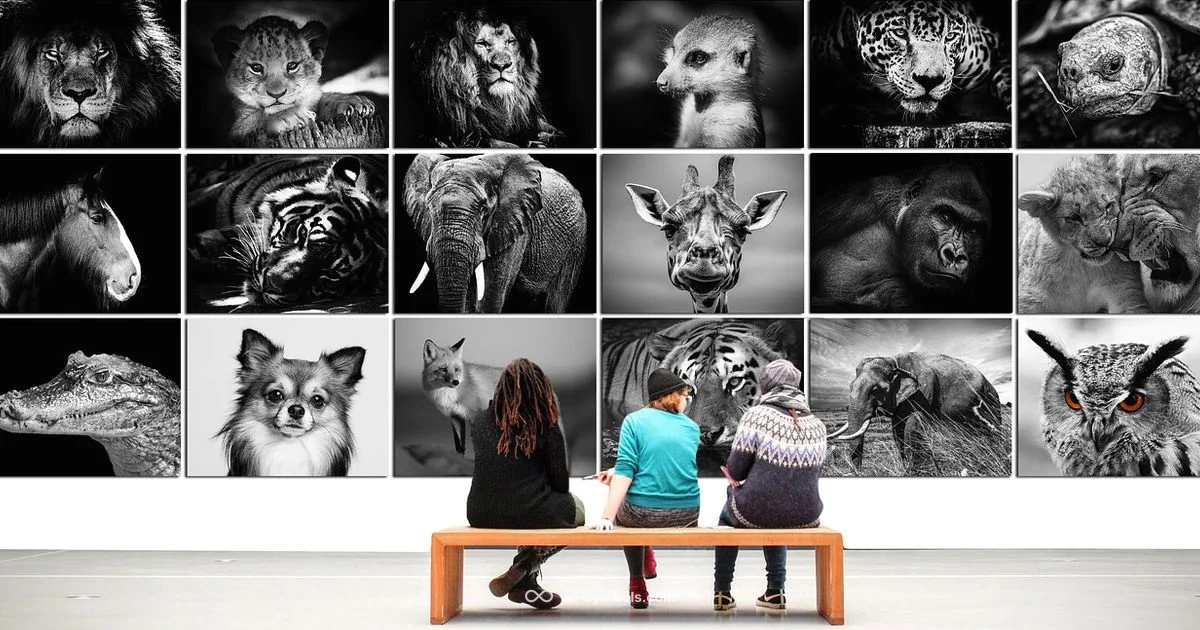 Elements in Focus - All Symbols