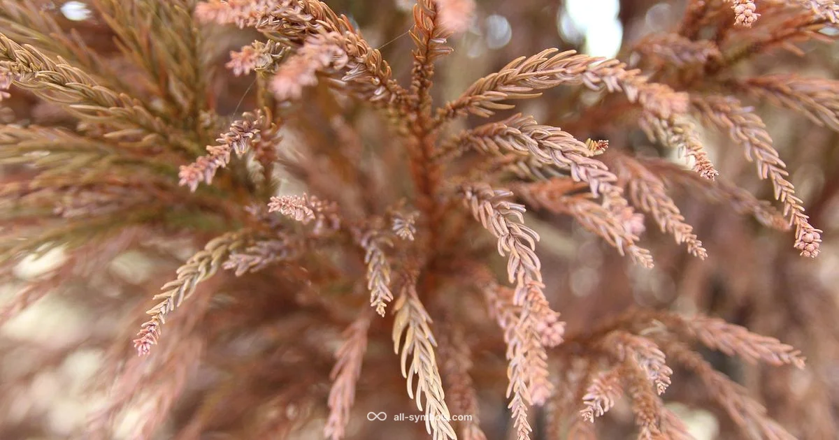 Symbol of Copper - All Symbols