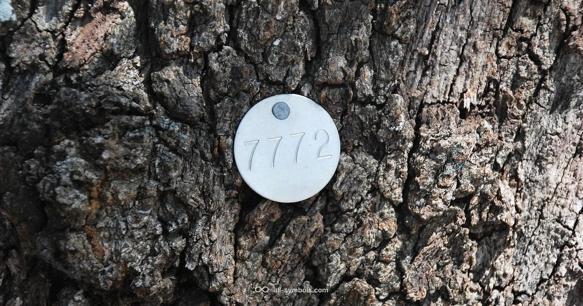 What symbol is this - All Symbols