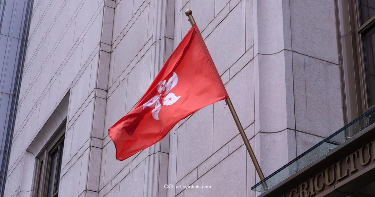 Five-Pointed Star Meaning - All Symbols