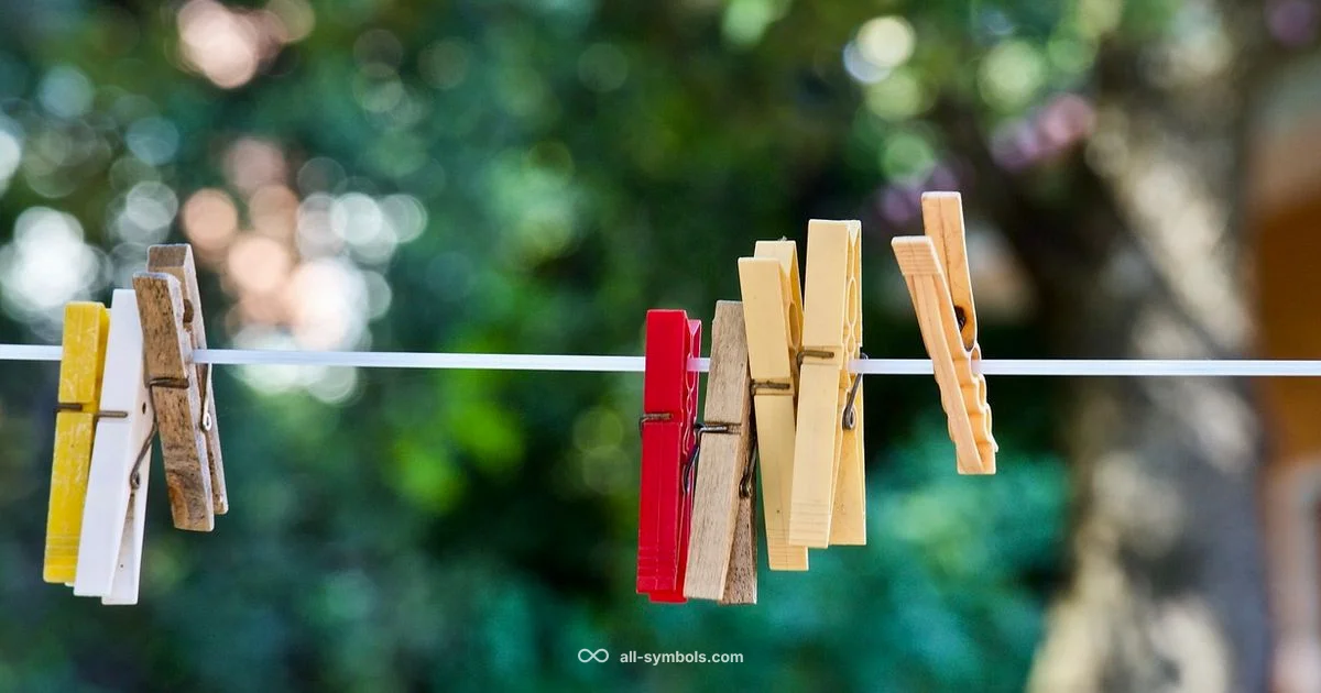 Care Label Guide Care Label Guide - All Symbols