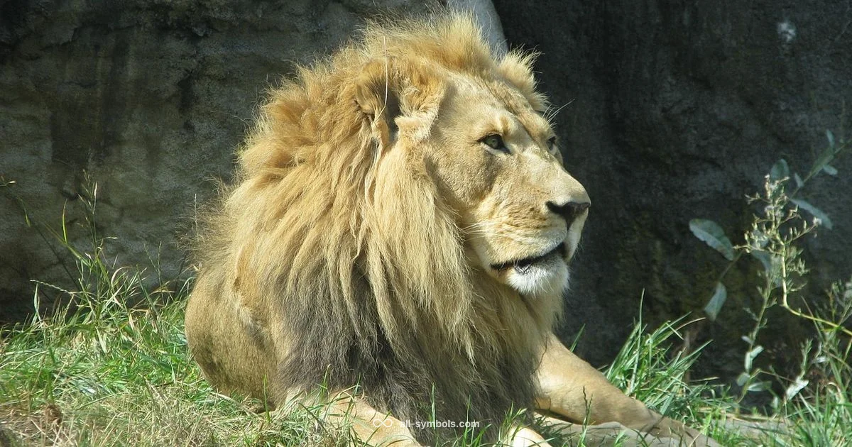 Symbol of Strength - All Symbols